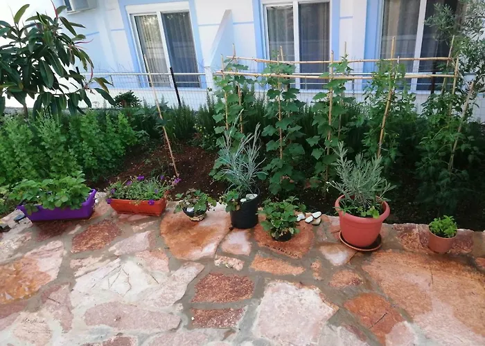 Helen\'S House